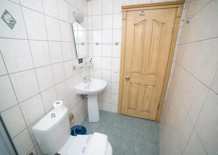 ホステル Downtown Cozy フェティエ