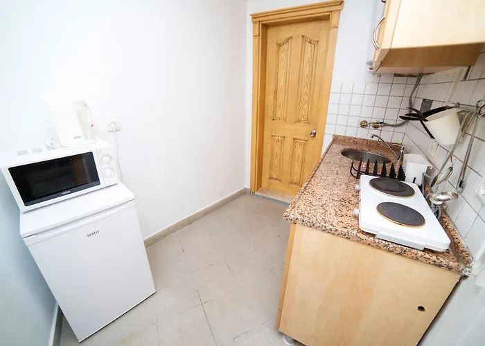 ホステル Downtown Cozy フェティエ