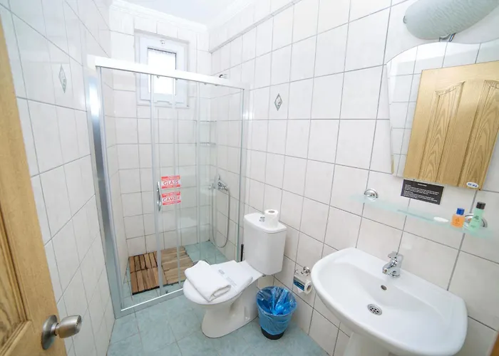 ホステル Downtown Cozy フェティエ