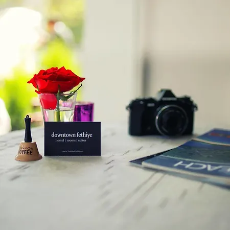 Vandrerhjem Downtown Cozy