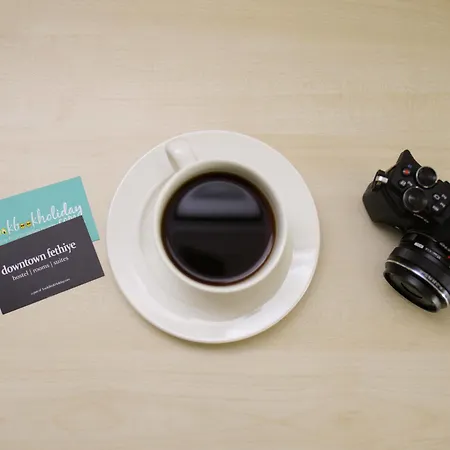 Downtown Cozy Vandrerhjem Fethiye